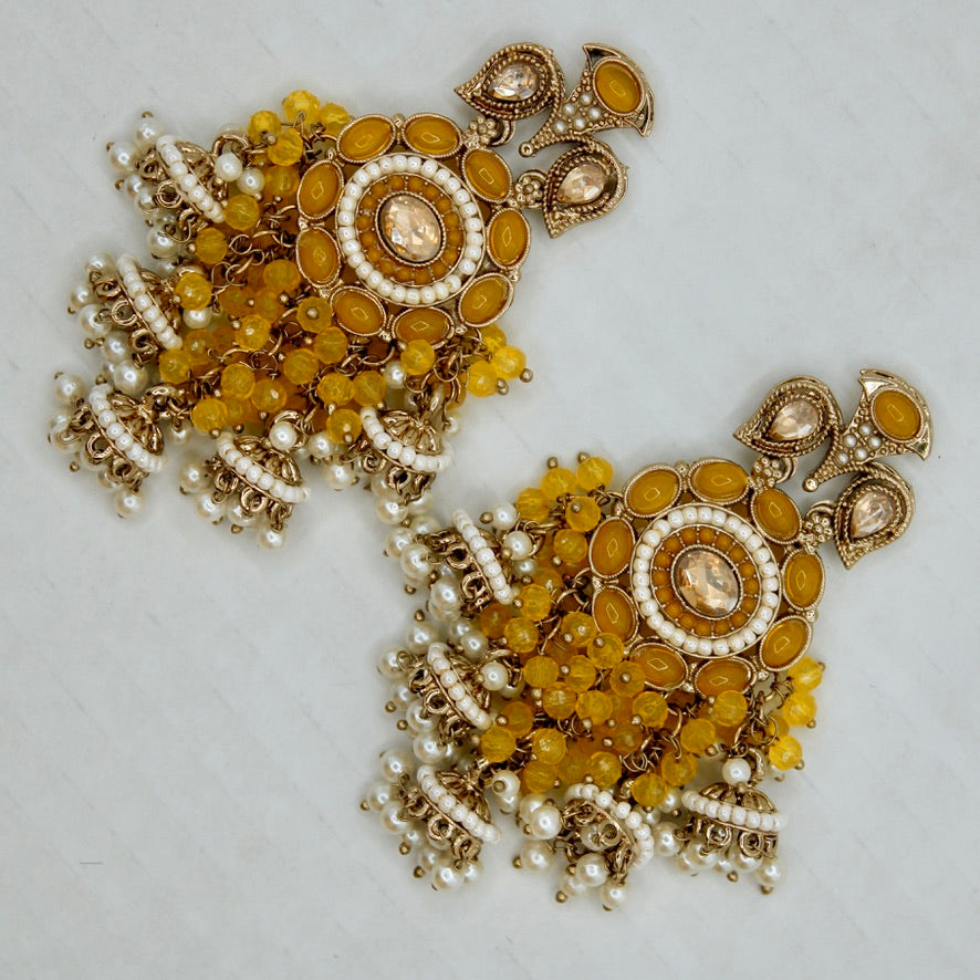 Diamante and Crystal Bead Earrings - E557