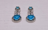 Cubic Zirconia Earrings - E790