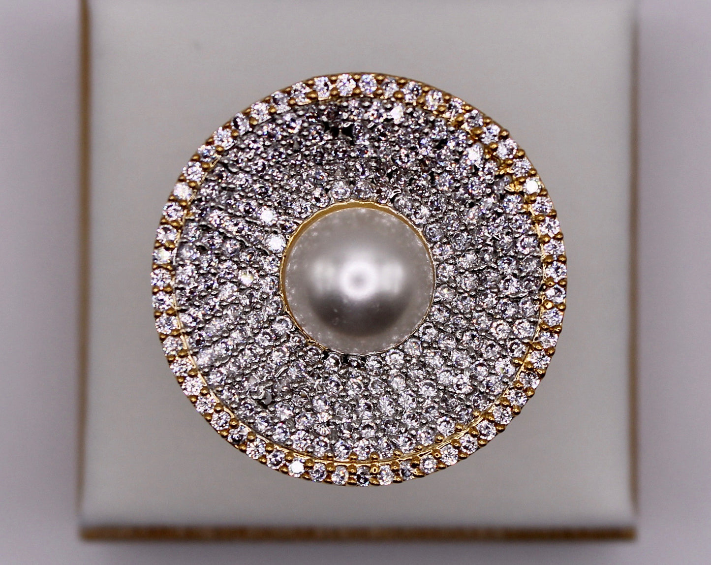 Ivory - E2237