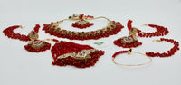 Traditional Pakistani Bridal Set - E1129